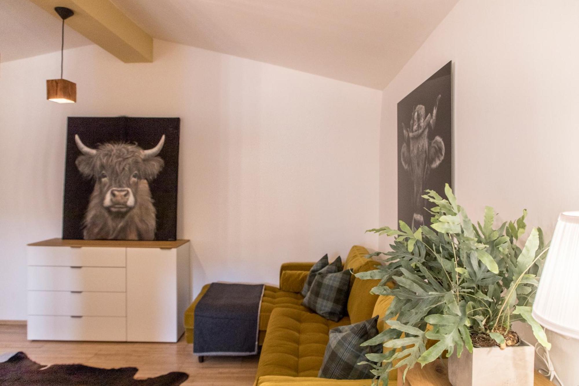 Zum Martin Sepp Appartements Im Martinshof 상트조한인티롤 외부 사진